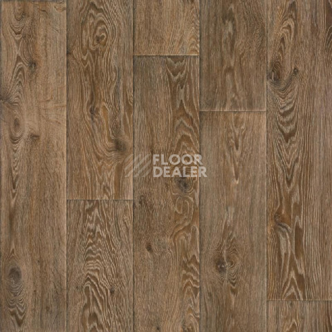 Линолеум Tarkett Evolution Raymond 4 фото 1 | FLOORDEALER